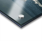 Flukes Whale Tail Puerto Vallarta Mexico Acrylic print