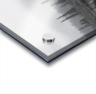 Haunted Forest In Jasper Alberta Canada Acrylic print