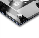 Kevin And Binny 70 Acrylic print