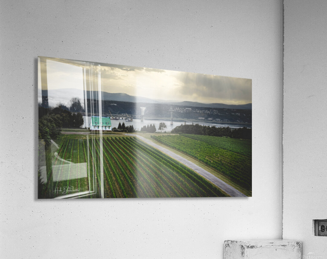 Vignoble Ste-Petronille Ile d’Orleans Quebec Canada Acrylic Print