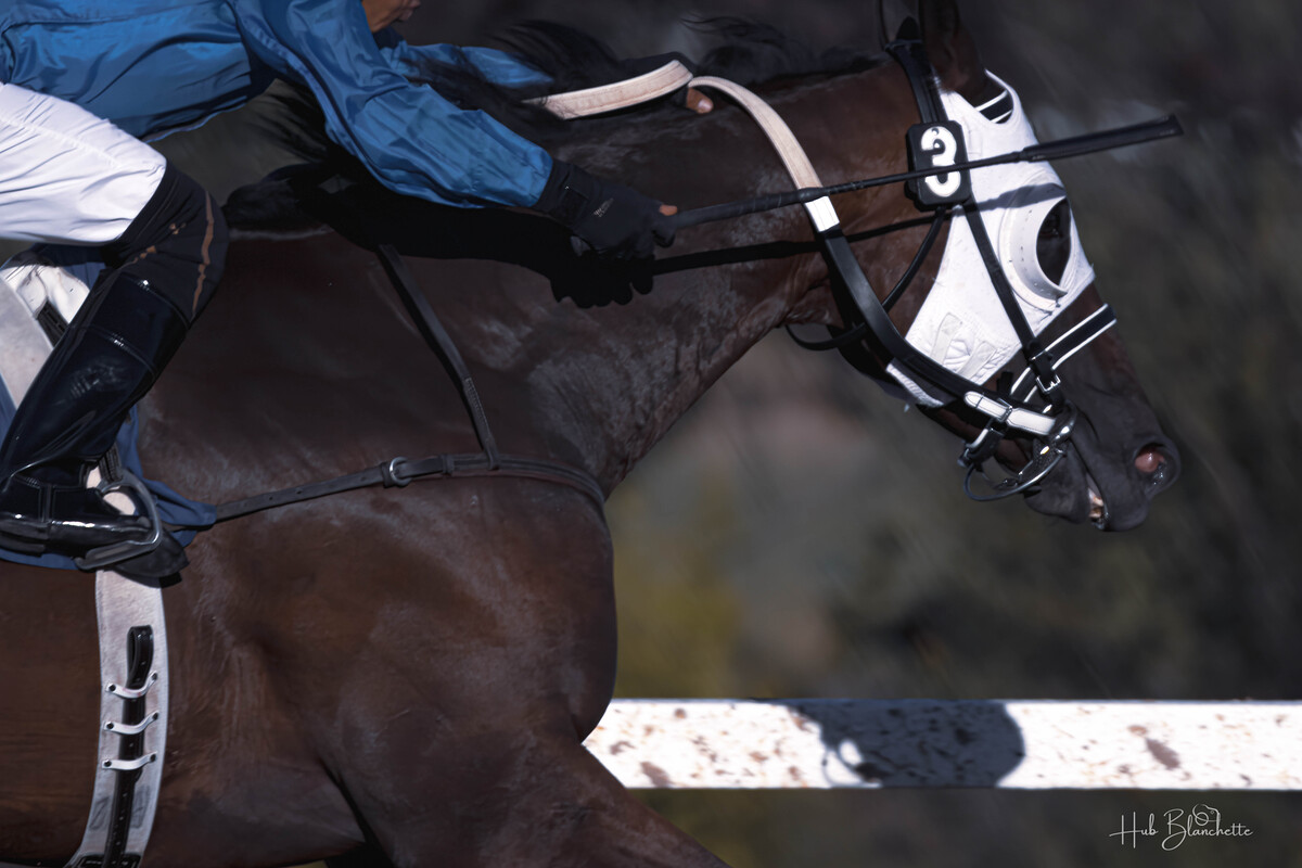 Impression de cadre personnalisé