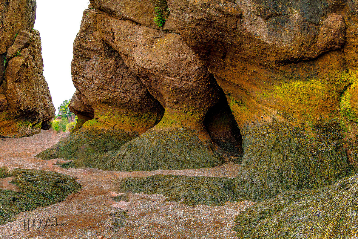 Impression de cadre personnalisé