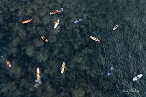 Patiently Waiting Sayulita Mexico