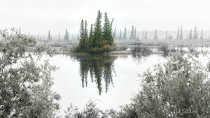 Foggy Eerie Morning in Jasper Alberta Canada 