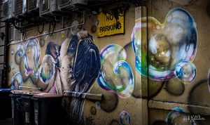 The Pug Mural Glasgow Scotland UK