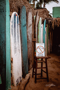 Surfs Up Sayulita Mexico