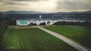 Vignoble Ste-Petronille Ile d’Orleans Quebec Canada