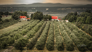 Cider Vinyard Ile d’Orleans Quebec Canada