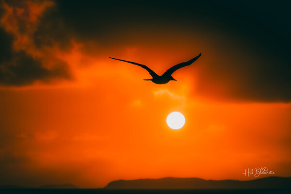Sunrise While Approaching The United States Virgin Islands Print