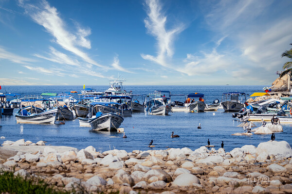 Colomitos Beach Puerto Vallarta Mexico Print