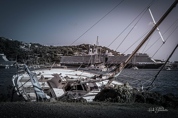 Reincarnated Into HA Eurodam United States Virgin Islands Print