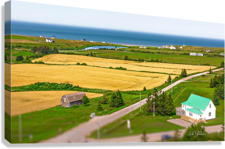 Sea View PEI Canada Canvas Print