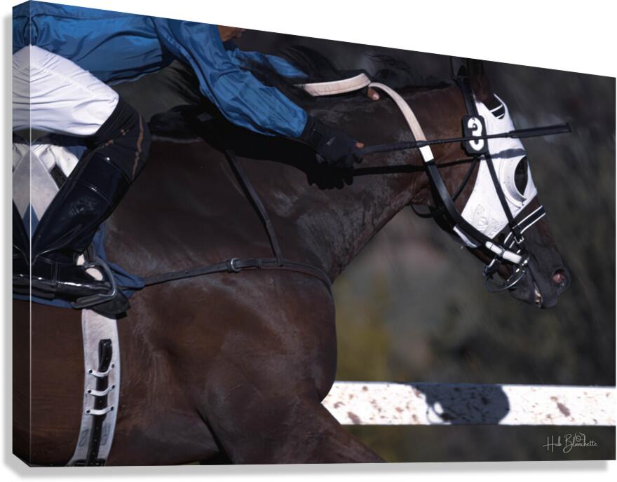 I Can See The Finish Line Assiniboia Downs Winnipeg Manitoba Canada Canvas Print