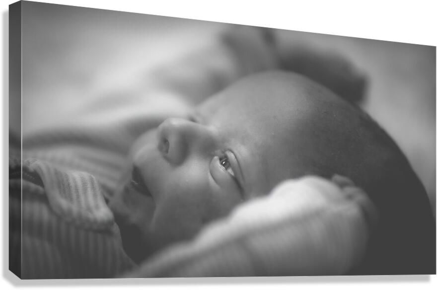 Twinkle in the eye Canvas Print