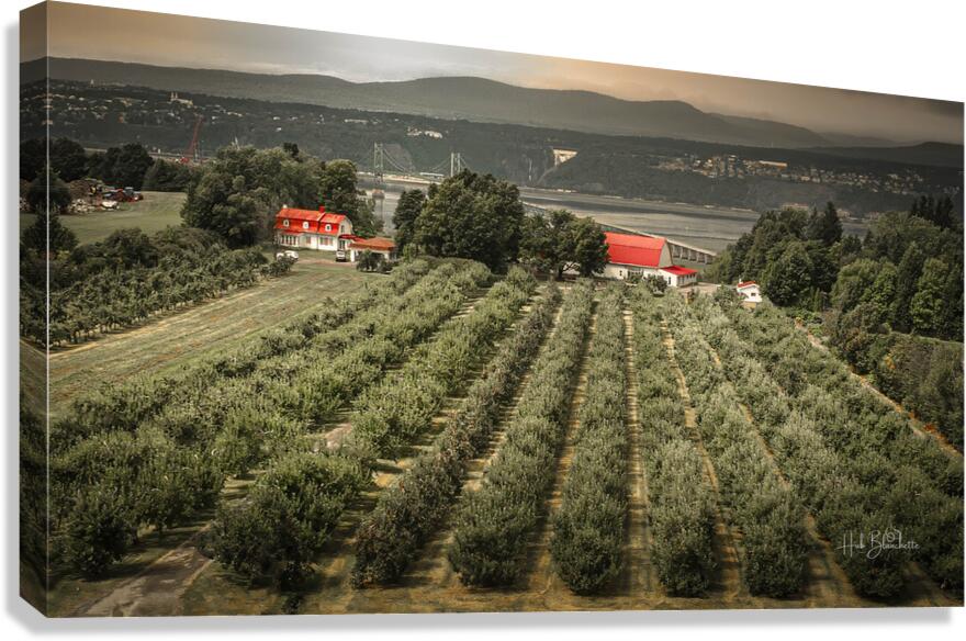 Cider Vinyard Ile d’Orleans Quebec Canada Canvas Print