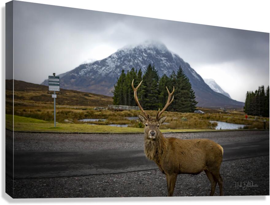Buachaille Etive Mor Mountain Scotland UK Canvas Print