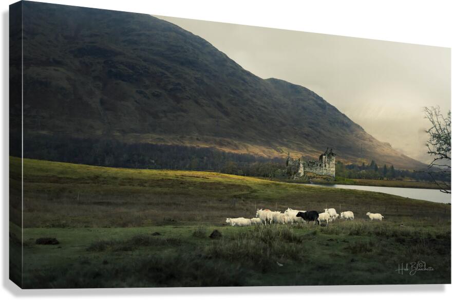 Kilchurn Castle Loch Awe in Argyll and Bute Scotland UK Canvas Print