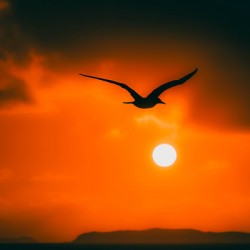 Sunrise While Approaching The United States Virgin Islands