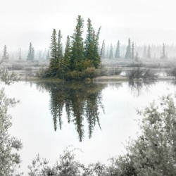 Foggy Eerie Morning in Jasper Alberta Canada 