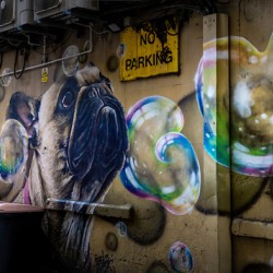 The Pug Mural Glasgow Scotland UK