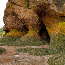 Low Tide Hopewell New Brunswick Canada