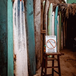 Surfs Up Sayulita Mexico