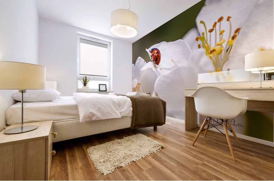 Back Yard Lady Bug Mural print