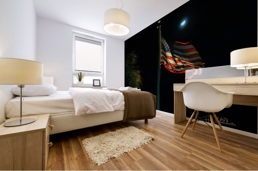 US Flag Fort Lauderdale Florida Mural print