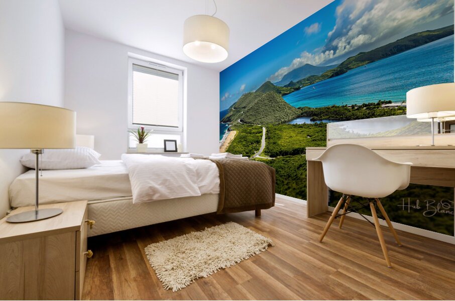 Timothy Hill Overlooking St.Kitts & Nevis Mural print