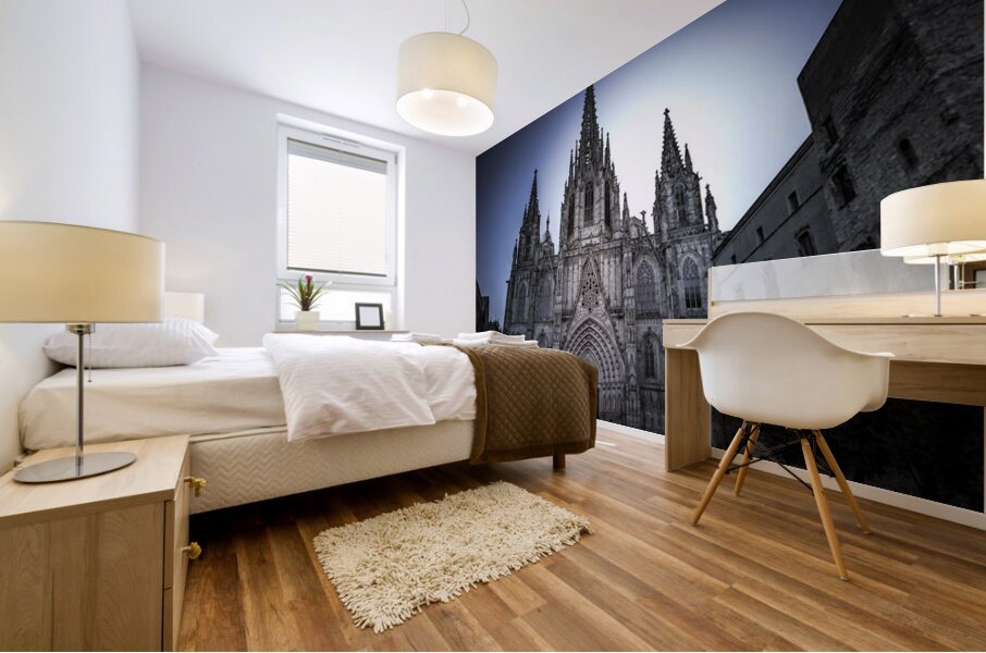 Barcelona Cathedral Spain Mural print