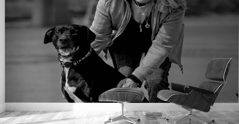 Found a Friend Winnipeg Manitoba Wall Murals