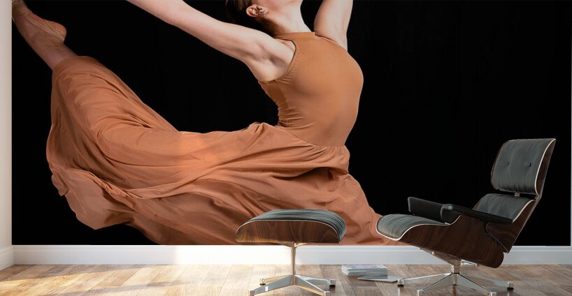 Dancer Manitoba Canada Wall Murals