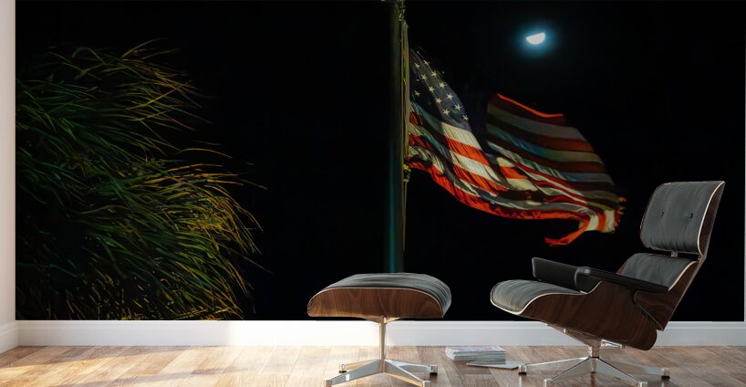 US Flag Fort Lauderdale Florida Wall Murals