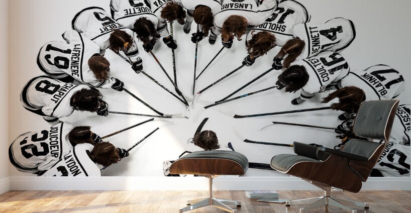 U15 Female Shark Team Photo Wall Murals