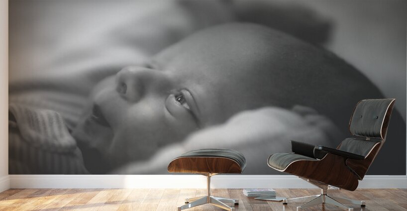 Twinkle in the eye Wall Murals