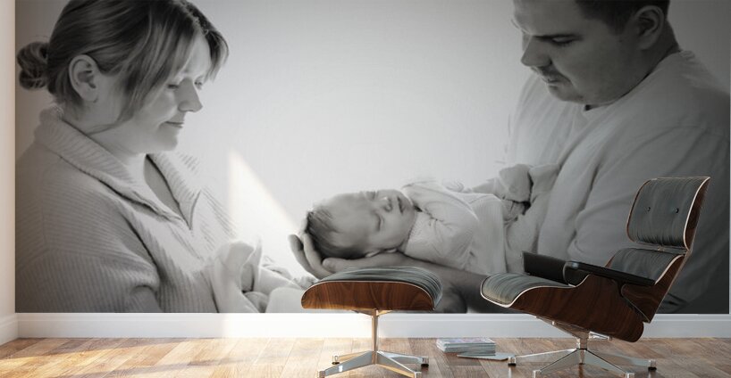 Family Beginnings Wall Murals