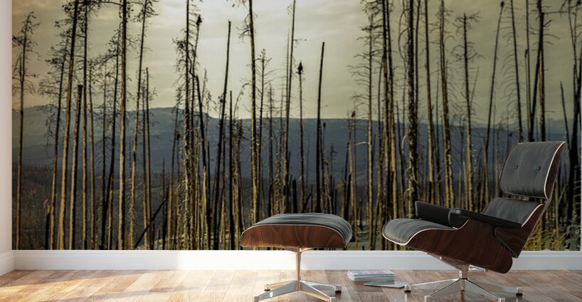 Flowers Blooming After The Jasper Alberta Canada Wild Fires Wall Murals