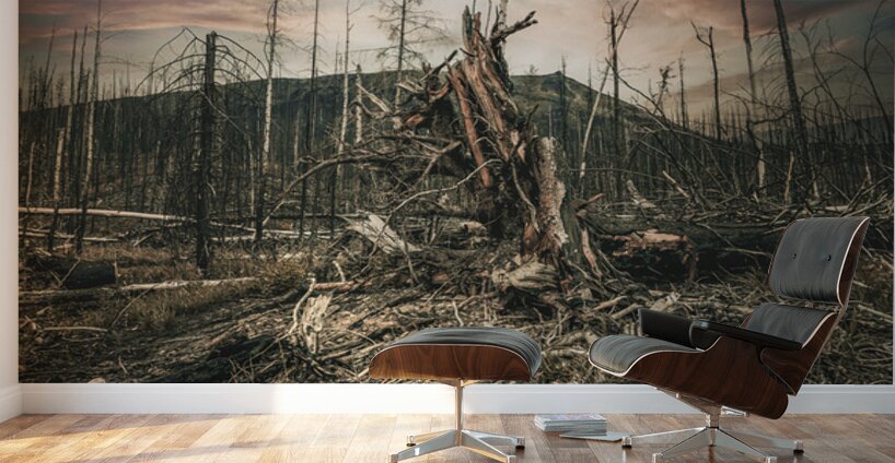 Wild Fires Whistler Campground In Jasper Alberta Canada Wall Murals