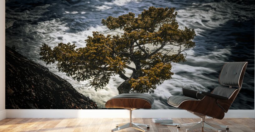 Watching Over Bow River Banff Alberta Canada Wall Murals