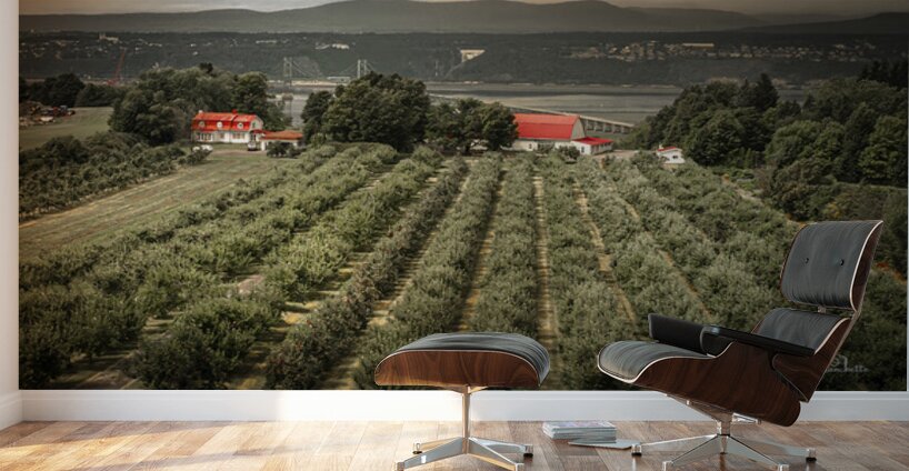 Cider Vinyard Ile d’Orleans Quebec Canada Wall Murals