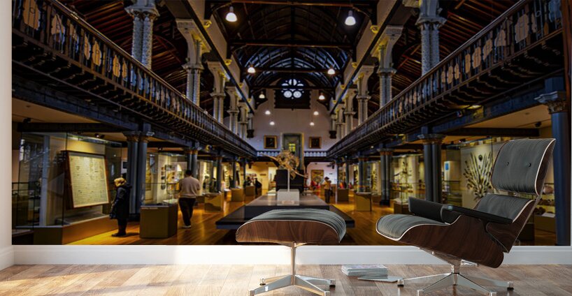 Hunterian Museum The Great Hall Glasgow Scotland UK Wall Murals
