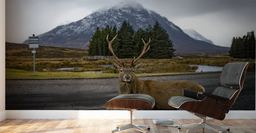 Buachaille Etive Mor Mountain Scotland UK Wall Murals