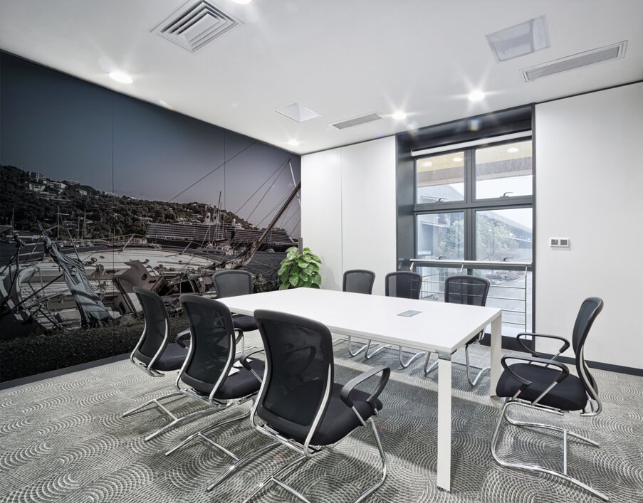 Reincarnated Into HA Eurodam United States Virgin Islands Wall Printing