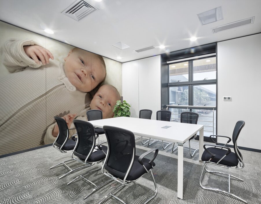 Fraternal Twin Boys Wall Printing