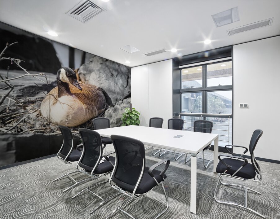 Mother Goose Protecting her Eggs Manitoba Canada Wall Printing