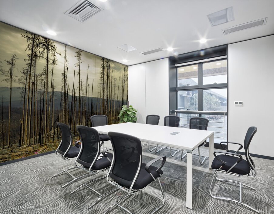 Flowers Blooming After The Jasper Alberta Canada Wild Fires Wall Printing