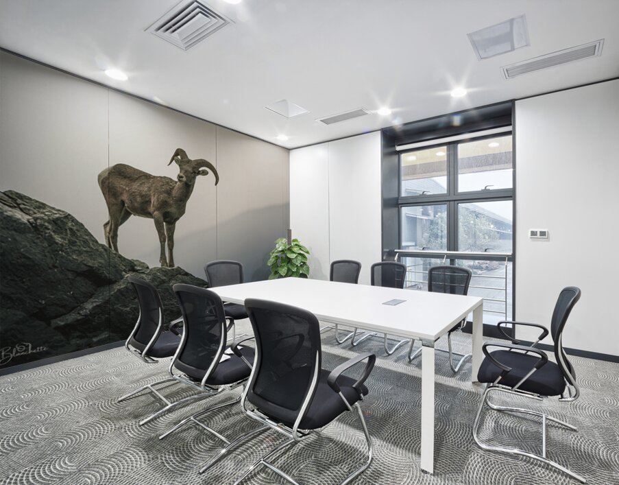 Mountain Goat Jasper Alberta Canada Wall Printing