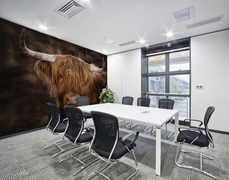 The Highland cow Scotland UK Wall Printing