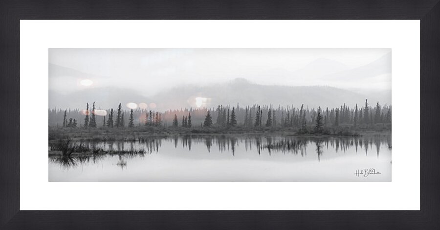 Haunted Forest In Jasper Alberta Canada Picture Frame Printing