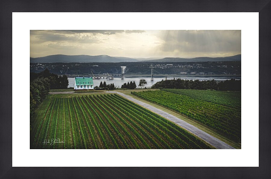 Vignoble Ste-Petronille Ile d’Orleans Quebec Canada Picture Frame Printing